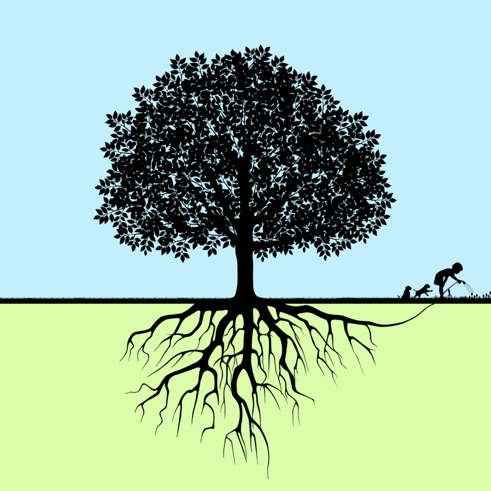 TreePeople